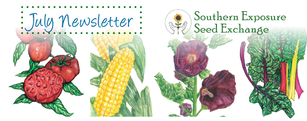 Southern Exposure Seed Exchange Newsletter