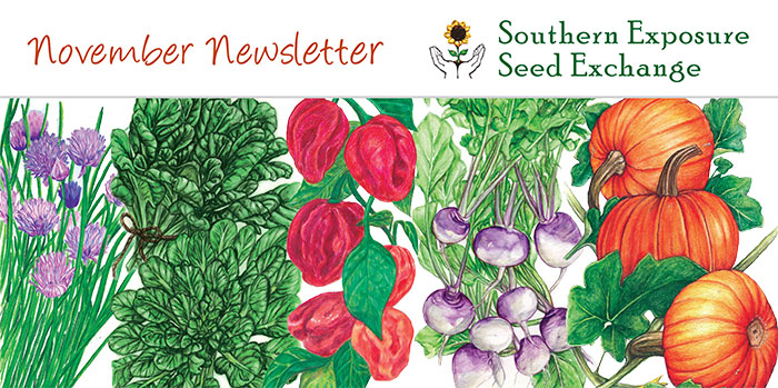 Southern Exposure Seed Exchange Newsletter