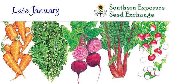 Southern Exposure Seed Exchange Newsletter