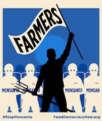 family farmers against monsanto