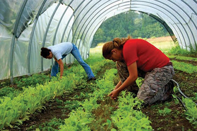 young farmers