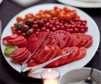 tomato tasting