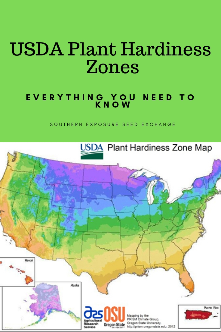 Flower Zones Map Usa - United States Map