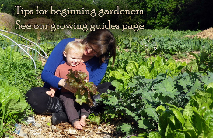 Gardening Mail Order Catalogs