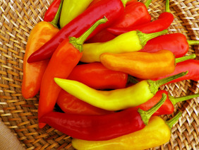 Hungarian Wax (Hot Banana) Hot Pepper, 0.3 g : Southern Exposure Seed ...