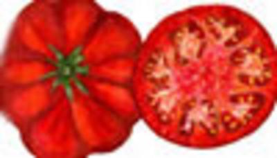 Illini Star - Organic Heirloom Tomato Seeds