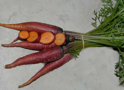cosmic purple carrot cosmic purple carrot