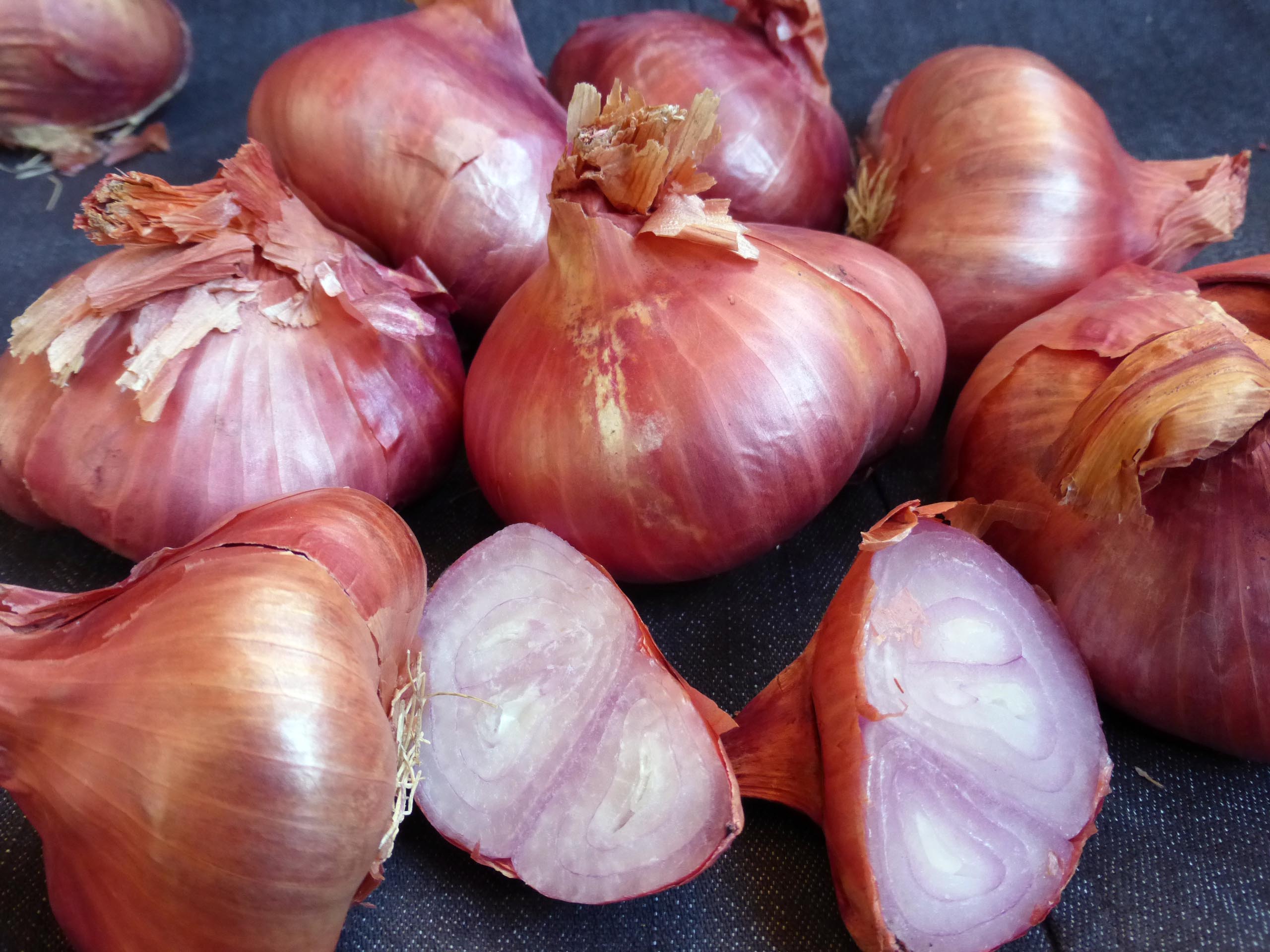 French Red Shallot