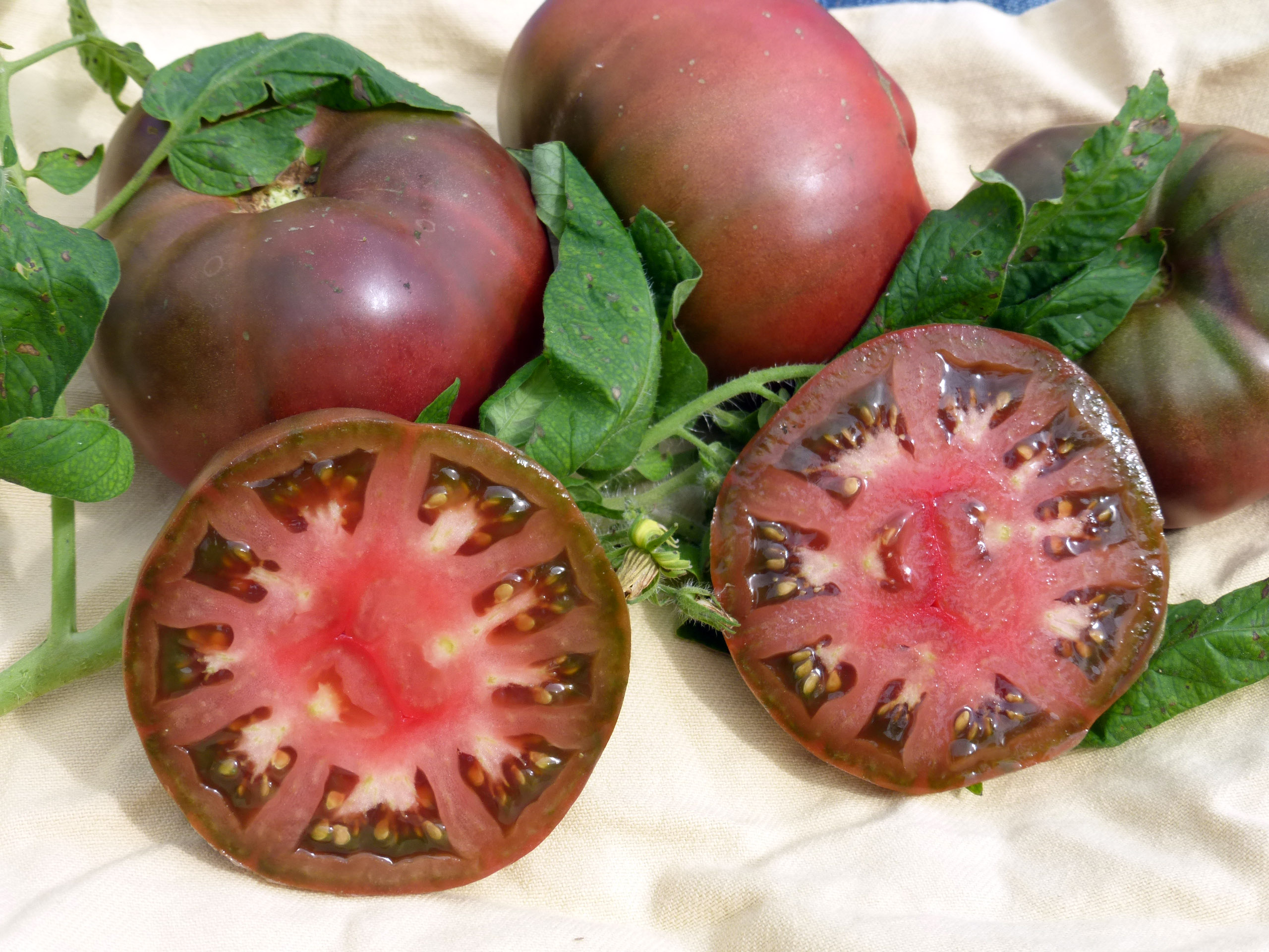 Brandywine, Black - Slicer Tomato Seeds