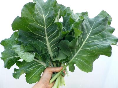 COLLARD GREENS, VATES, HEIRLOOM, NON GMO SEEDS, GREAT FOR SALADS, COOK –  Country Creek LLC