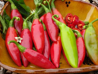 Hot Portugal Hot Pepper Seeds, Non-GMO, Heirloom - Vegetable Garden