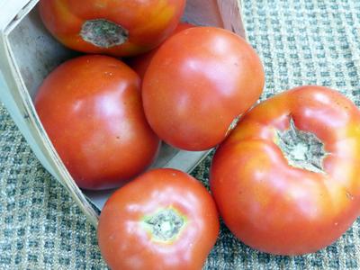 Fejee Improved or True Beefsteak Tomato