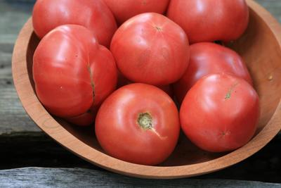 Solanum lycopersicum - Rare - Star Shape Tomato - 10 Seeds - Fresh See –  IDSeeds Farm