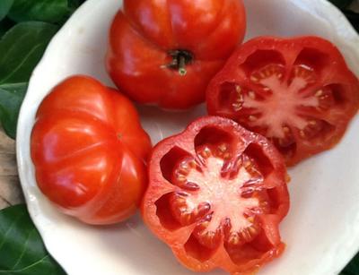 Delicious Tomato Seeds, NON-GMO, World Record Beefsteak, Heirloom, FREE  SHIPPING