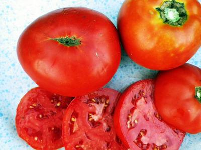 tomato-mountaineer-delight-